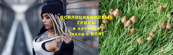 спиды Баксан
