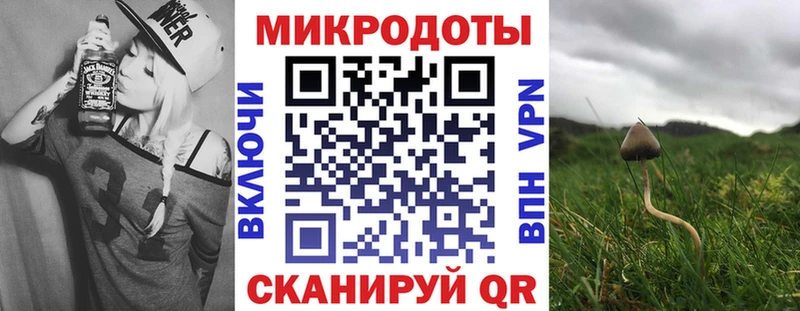 наркота Кондрово Псилоцибиновые грибы ЛСД